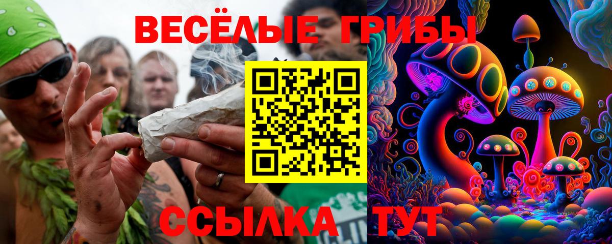 Полевской  Галлюциногенные грибы GOLDEN TEACHER  Вход с VPN 